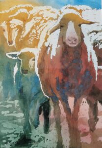 Les moutons