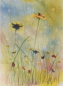 Fleurs sauvages
