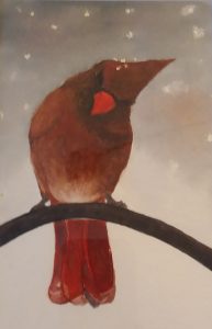 Cardinal