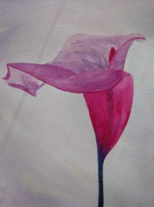 Rose alcatraz